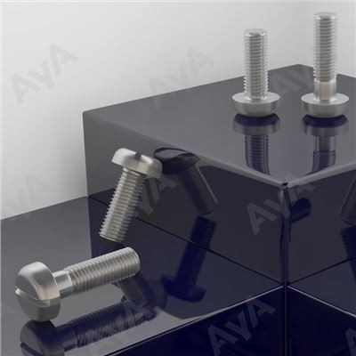 Stainless Steel Pan Head Machine Screws